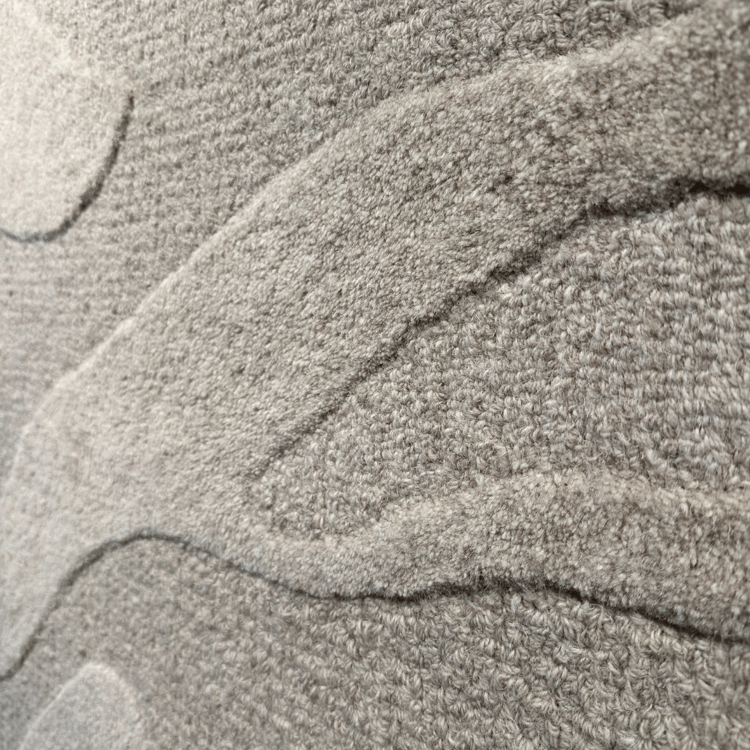 Tapis 100 % laine tufté à la main Coastal avec motif à courbes organiques pour salon