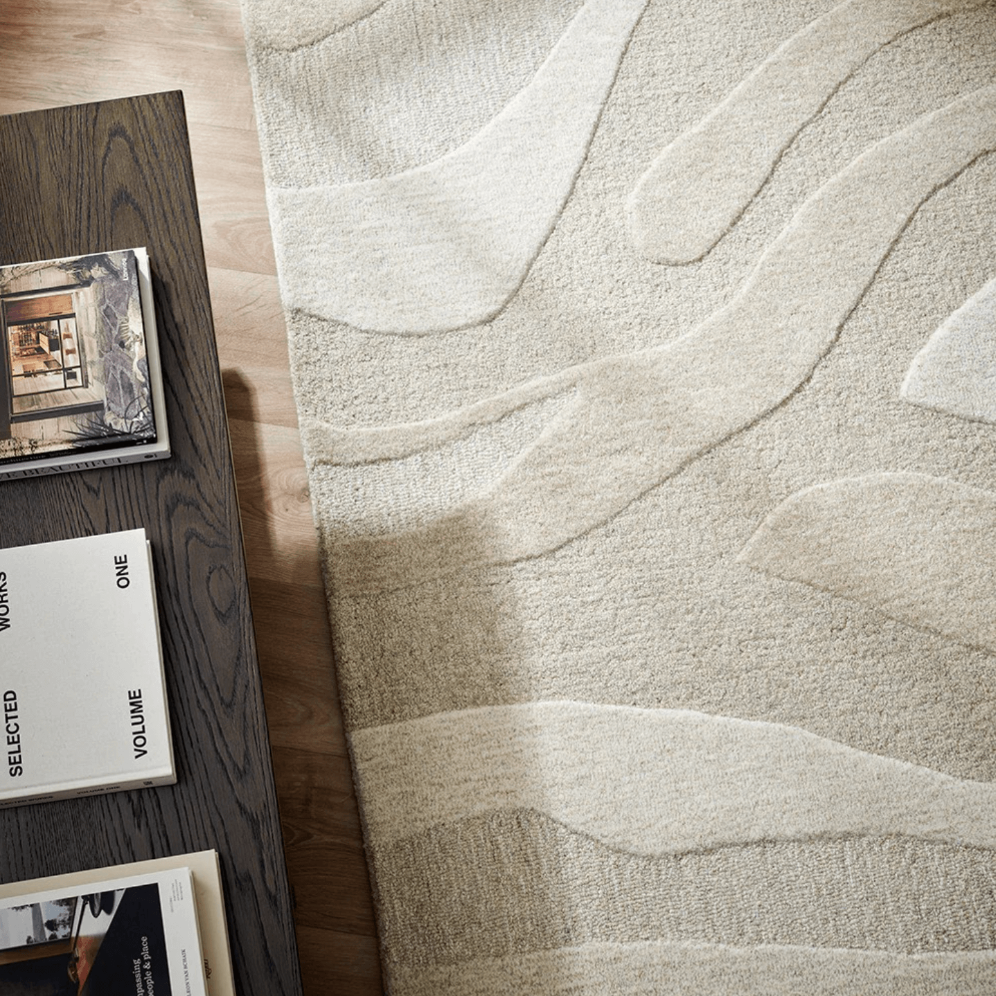 Tapis 100 % laine tufté à la main Coastal avec motif à courbes organiques pour salon