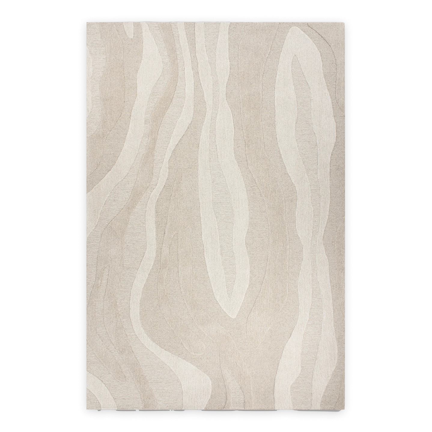Tapis 100 % laine tufté à la main Coastal avec motif à courbes organiques pour salon
